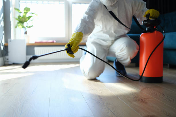 Reliable Odor Removal contractor in Redmond, UT by Trauma Clean Pros